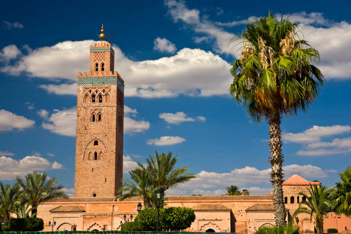     Quel opérateur choisir pour appeler le Maroc, l'Algérie et la Tunisie au meilleur prix ?
