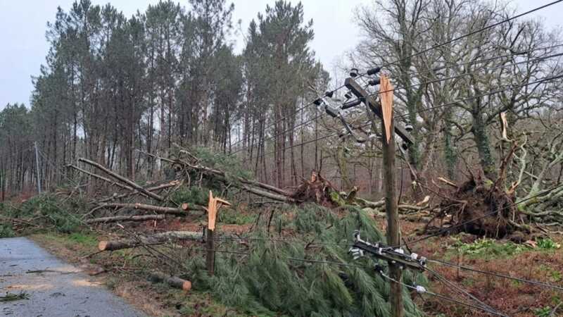 Landes : pourquoi des centaines de foyers sont-ils toujours privés d'Internet un mois après les tempêtes ?