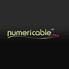     Numericable lance une offre sociale à 4 euros par mois
