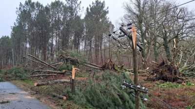     Dans les Landes : pourquoi des centaines de foyers sont-ils toujours privés d'Internet deux mois après les tempêtes ?
