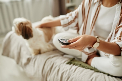 Après un carton aux États-Unis et en Asie, cette chaîne TV débarque bientôt sur les Freebox