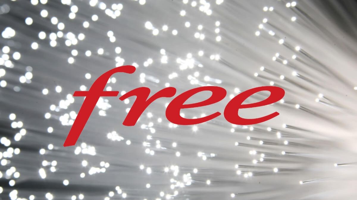     Internet à petit prix : ces deux offres Freebox qui font toute la différence
