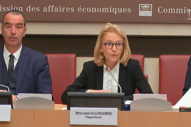 Eric-Bothorel-et-Laure-de-la-Raudiere-le-22 janvier-devant-la-Commission-des-affaires-economiques-de-l-Assemblee-nationale